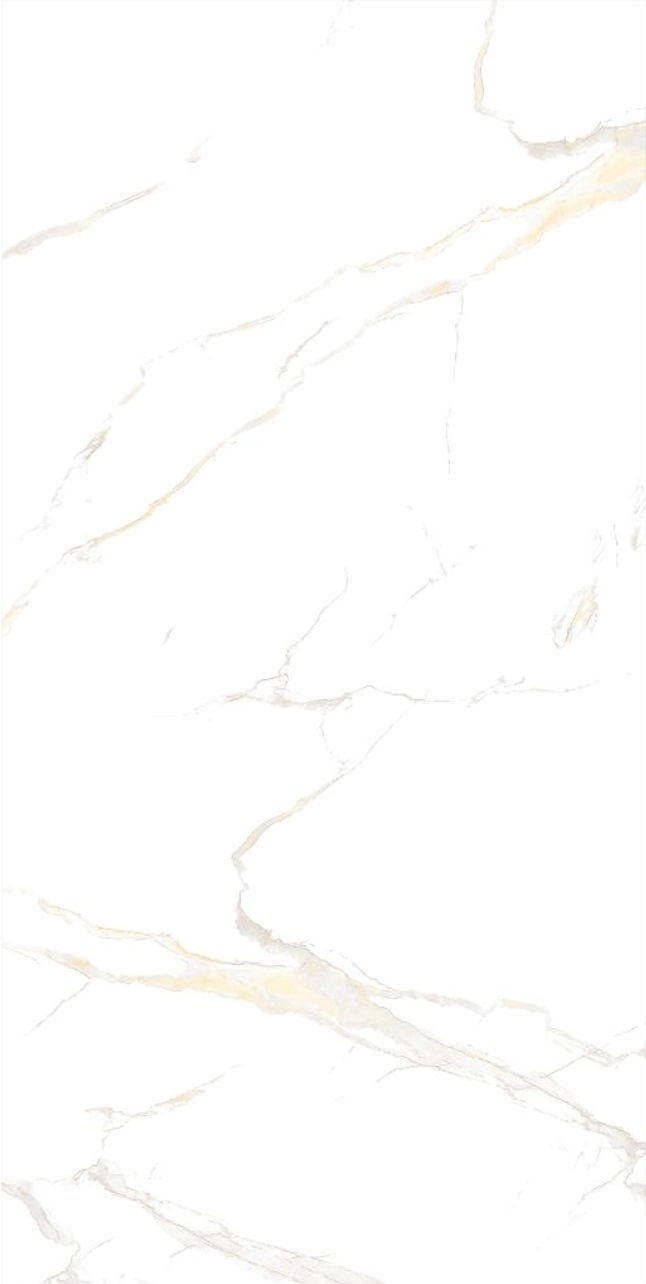 Плитка Izida Eco 1B 60x120