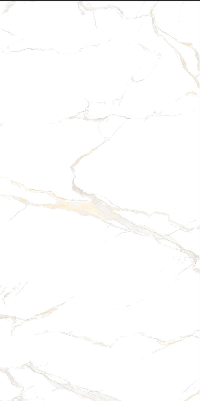 Плитка Izida Eco 1B 60x120