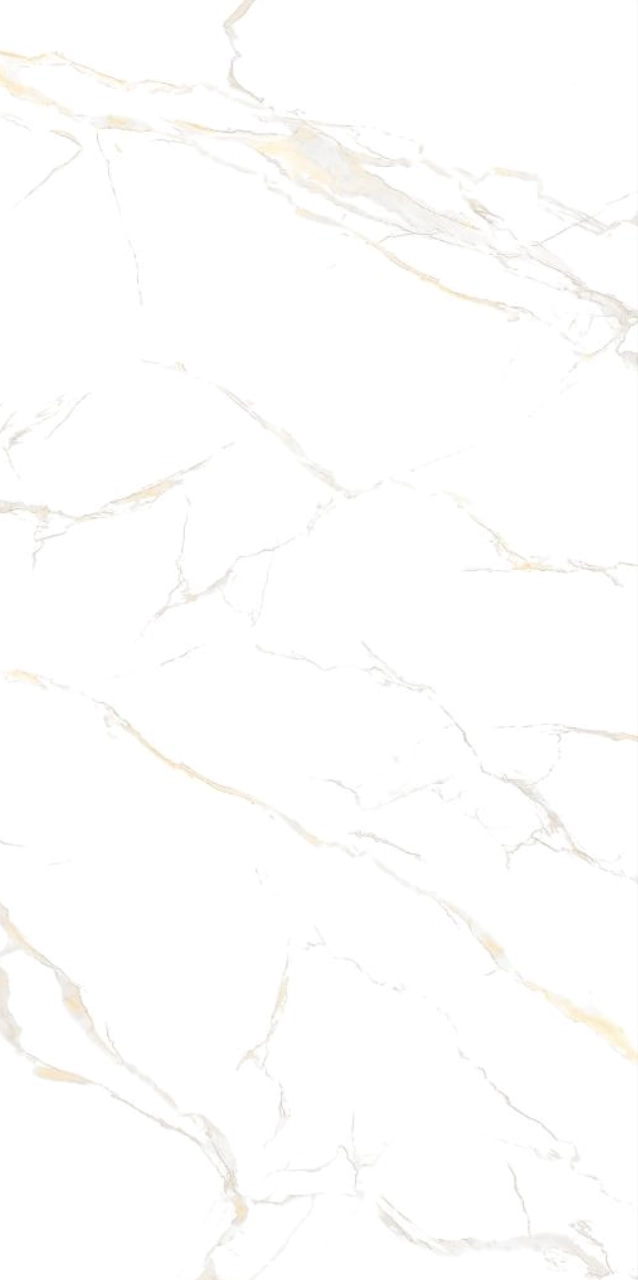 Плитка Izida Eco 1B 60x120
